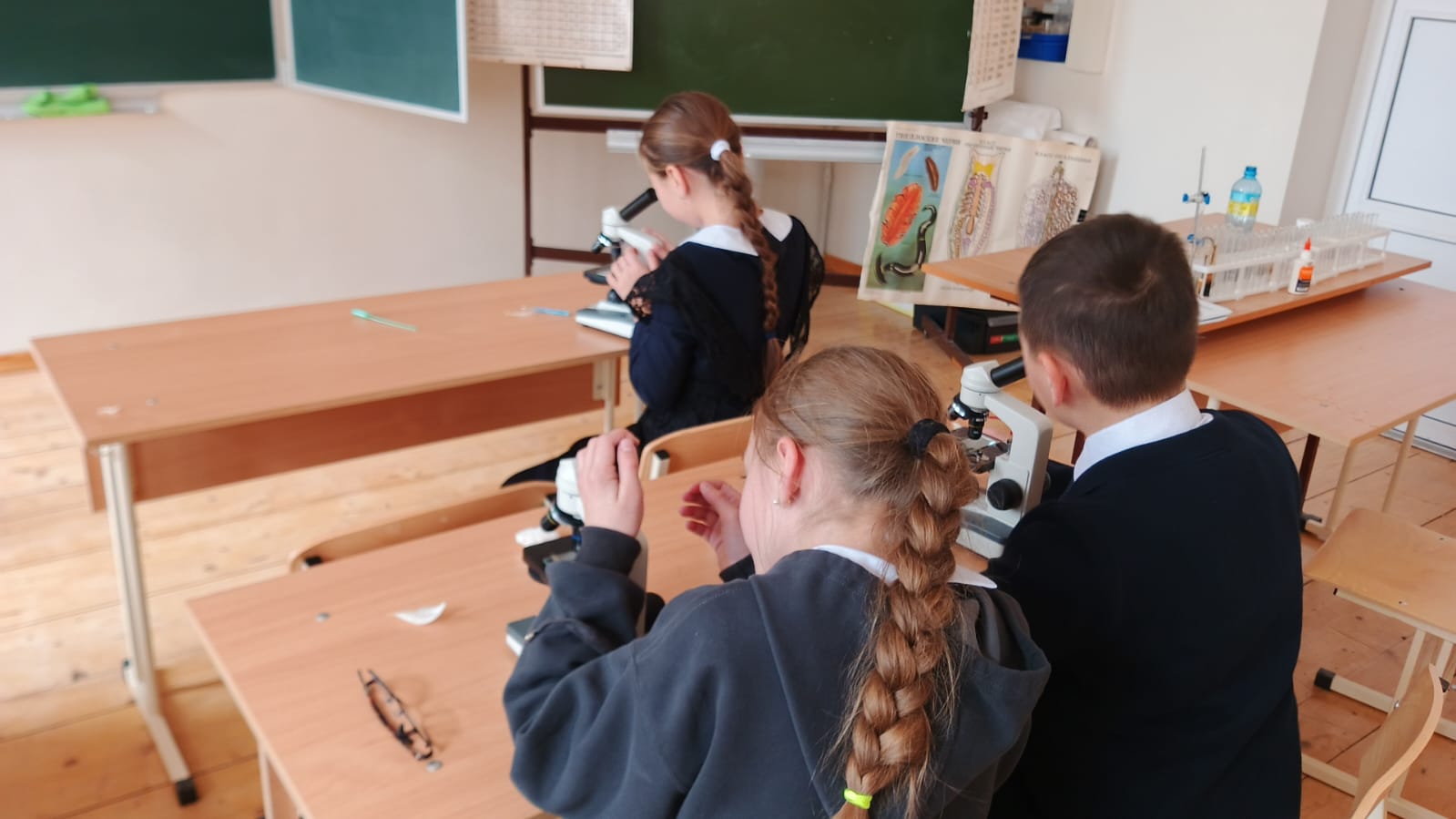 Внеурочное занятие «Занимательная биология»